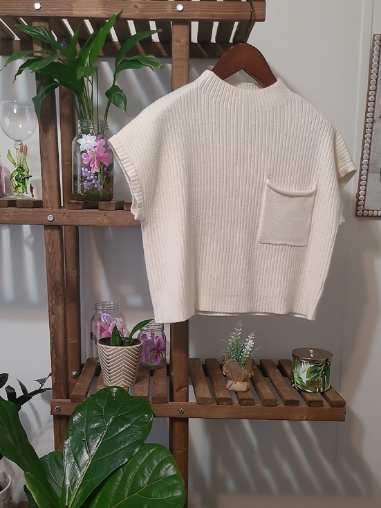 Blu Pepper Sweaters - Cream Short Sleeve Sweater